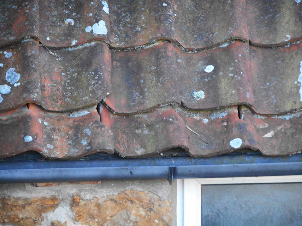 Building Survey highlighting roofing defects - Wessex Surveyors